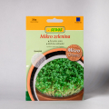 Microgreens erucha siata