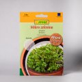 Microgreens Rukola