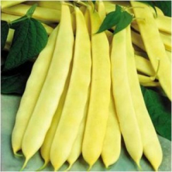 Fazua krkov ltostrukov WS 859, 40g